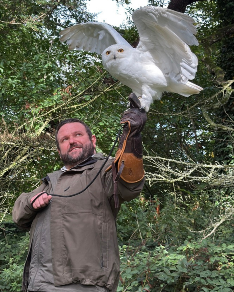 Falconry experience at Adare Manor, County Limerick, Ireland
